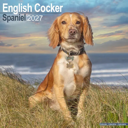 Avonside Engelse Cocker Spaniel Kalender 2027