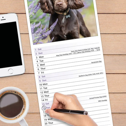 Avonside Engelse Cocker Spaniel Kalender 2027 Slimline