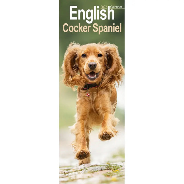 Avonside Engelse Cocker Spaniel Kalender 2027 Slimline