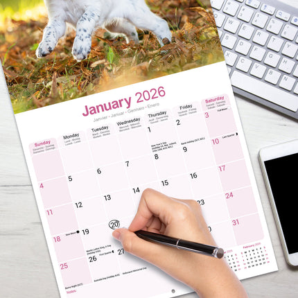 Avonside Engelse Setter Kalender 2026