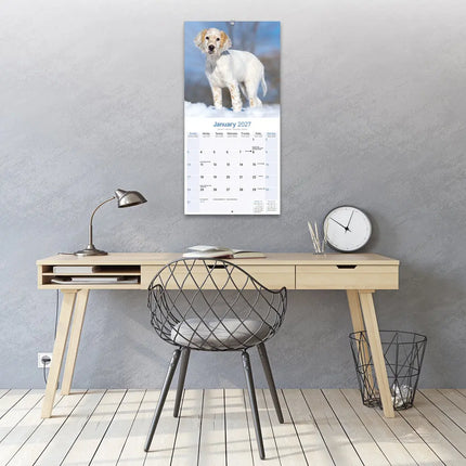 Avonside Engelse Setter Kalender 2027