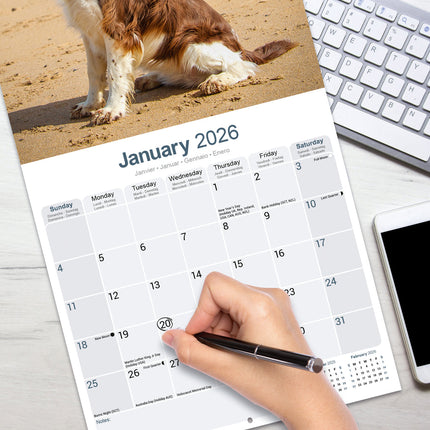 Avonside Engelse Springer Spaniel Kalender 2026