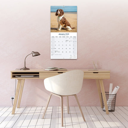 Avonside Engelse Springer Spaniel Kalender 2026