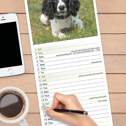 Avonside Engelse Springer Spaniel Kalender 2027 Slimline