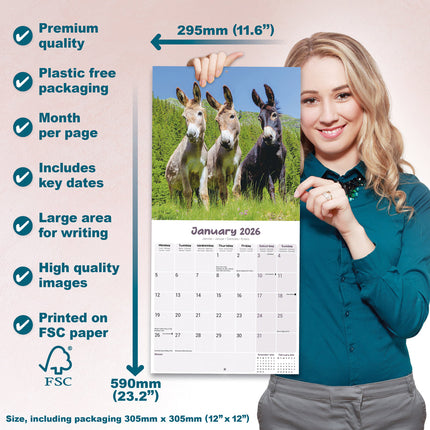 Avonside Ezel Kalender 2026