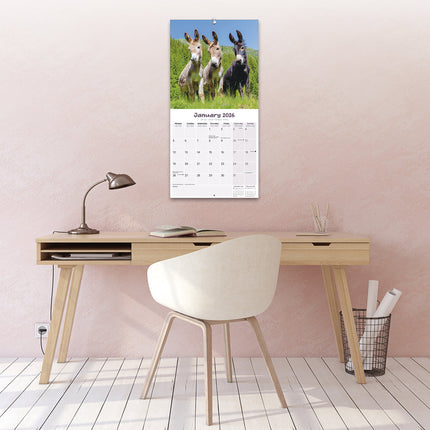 Avonside Ezel Kalender 2026