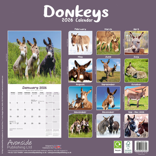 Avonside Ezel Kalender 2026