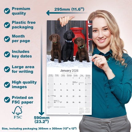 Avonside Flatcoated Retriever Kalender 2026