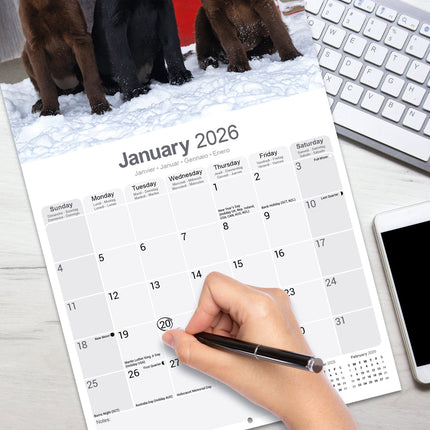 Avonside Flatcoated Retriever Kalender 2026