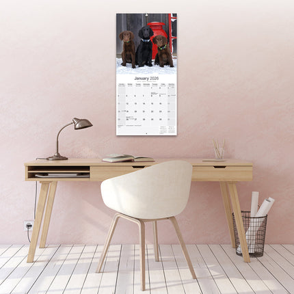 Avonside Flatcoated Retriever Kalender 2026