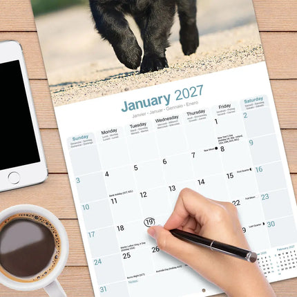 Avonside Flatcoated Retriever Kalender 2027