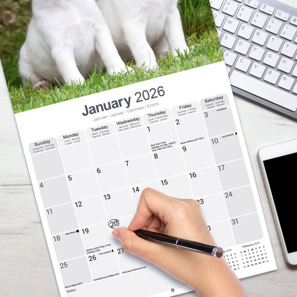 Avonside Fox Terrier Kalender 2026