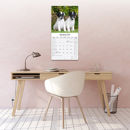 Avonside Fox Terrier Kalender 2026