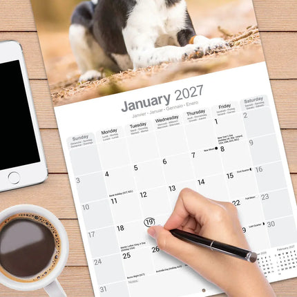 Avonside Fox Terrier Kalender 2027