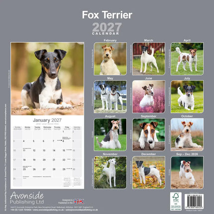 Avonside Fox Terrier Kalender 2027