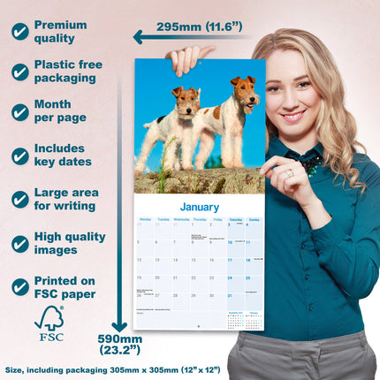 Avonside Fox Terrier Ruwhaar Kalender 2026