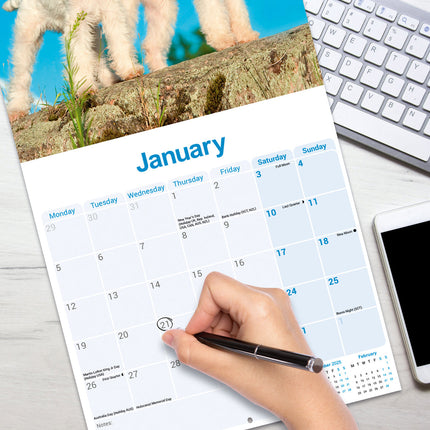 Avonside Fox Terrier Ruwhaar Kalender 2026