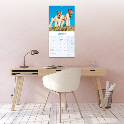 Avonside Fox Terrier Ruwhaar Kalender 2026