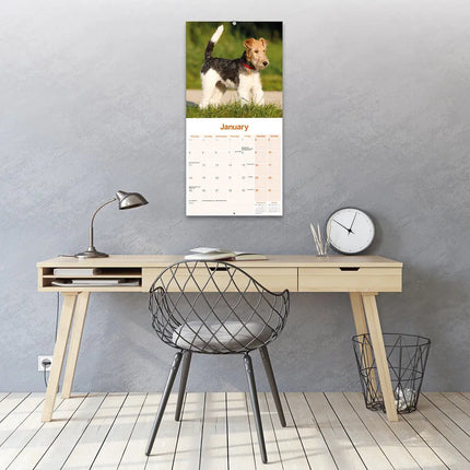 Avonside Fox Terrier Ruwhaar Kalender 2027