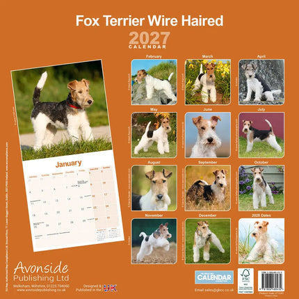 Avonside Fox Terrier Ruwhaar Kalender 2027