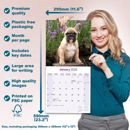 Avonside Franse Bulldog Kalender 2026