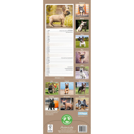 Avonside Franse Bulldog Kalender 2026 Slimline