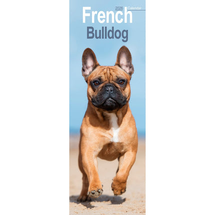Avonside Franse Bulldog Kalender 2026 Slimline