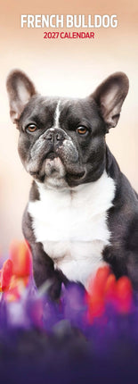 Avonside Franse Bulldog Kalender 2026 Slimline