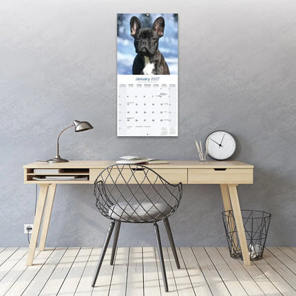 Avonside Franse Bulldog Kalender 2027