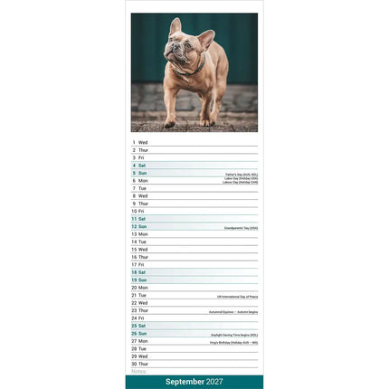 Avonside Franse Bulldog Kalender 2027 Slimline