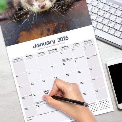 Avonside Fretten Kalender 2026