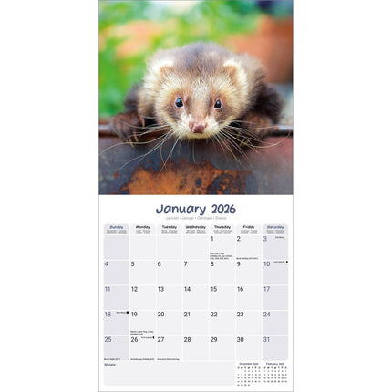 Avonside Fretten Kalender 2026