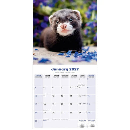Avonside Fretten Kalender 2027