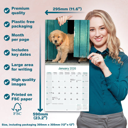 Avonside Golden Retriever Kalender 2026