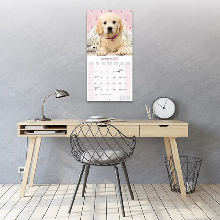 Avonside Golden Retriever Kalender 2027