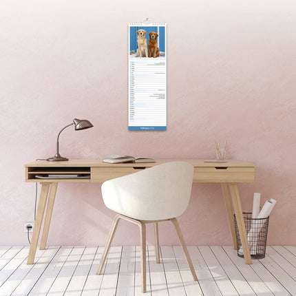 Avonside Golden Retriever Kalender 2027 Slimline