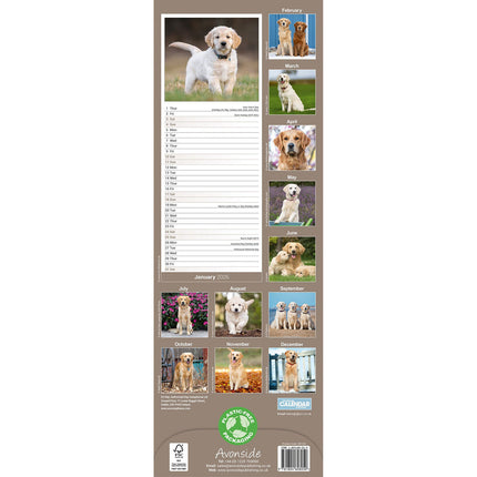 Avonside Golden Retriever Kalender 2027 Slimline