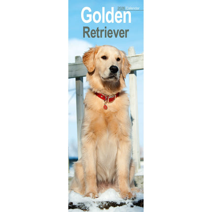 Avonside Golden Retriever Kalender 2027 Slimline