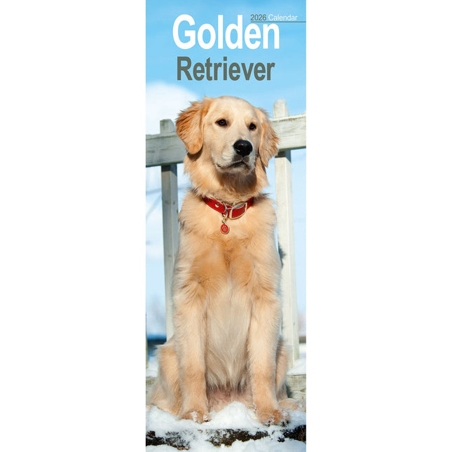 Avonside Golden Retriever Kalender 2027 Slimline