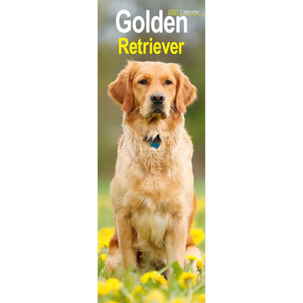 Avonside Golden Retriever Kalender 2027 Slimline