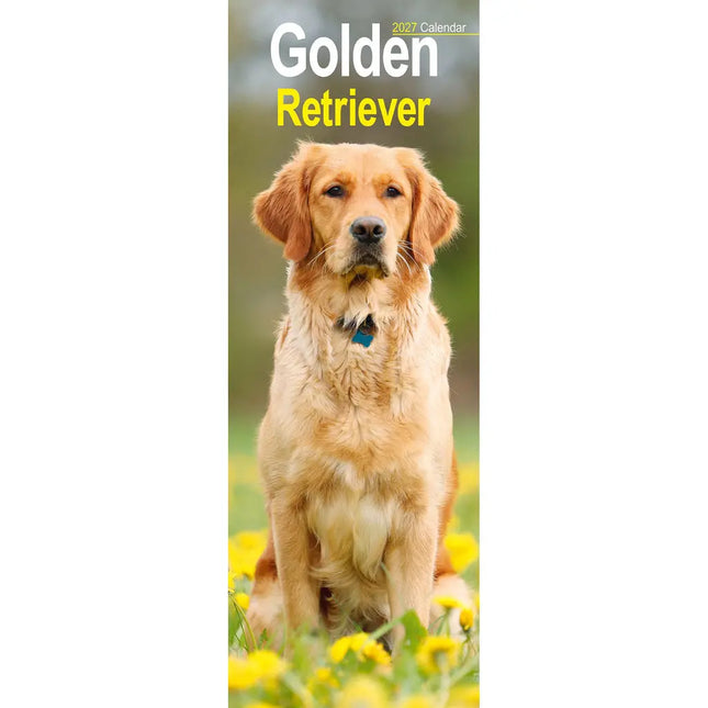 Avonside Golden Retriever Kalender 2027 Slimline