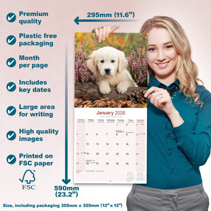 Avonside Golden Retriever Kalender Puppies 2026