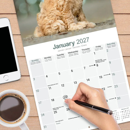Avonside Goldendoodle Kalender 2027