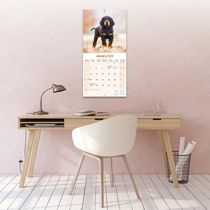 Avonside Gordon Setter Kalender 2026