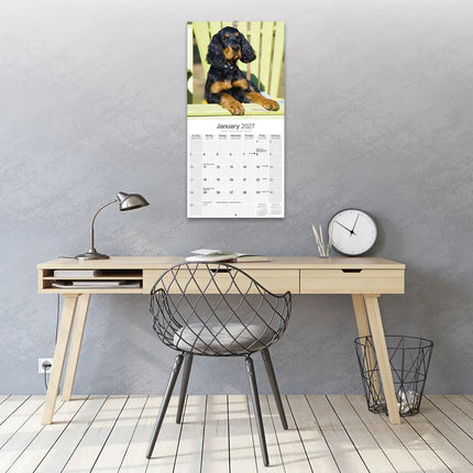 Avonside Gordon Setter Kalender 2027