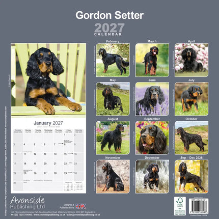 Avonside Gordon Setter Kalender 2027