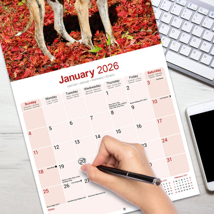 Avonside Greyhound Kalender 2026
