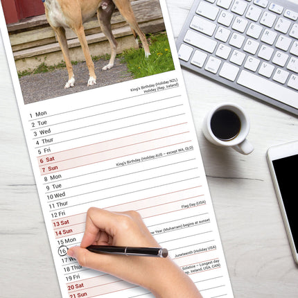 Avonside Greyhound Kalender 2026 Slimline