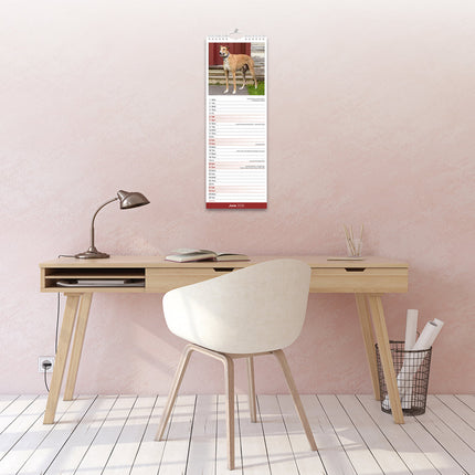 Avonside Greyhound Kalender 2026 Slimline