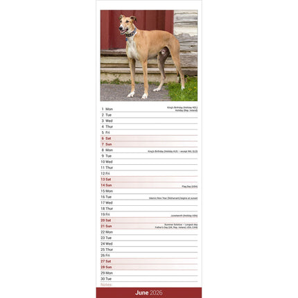Avonside Greyhound Kalender 2026 Slimline